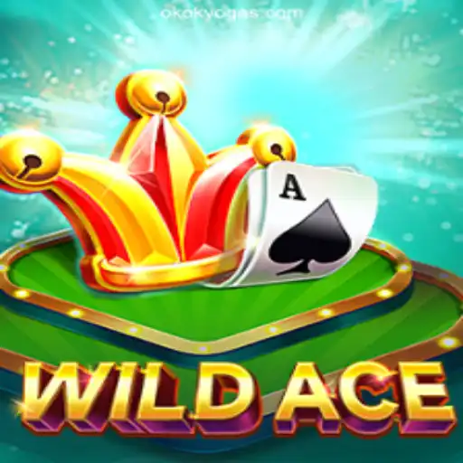 Exploring the Thrills of WildAce: The Premier Online Gaming Experience
